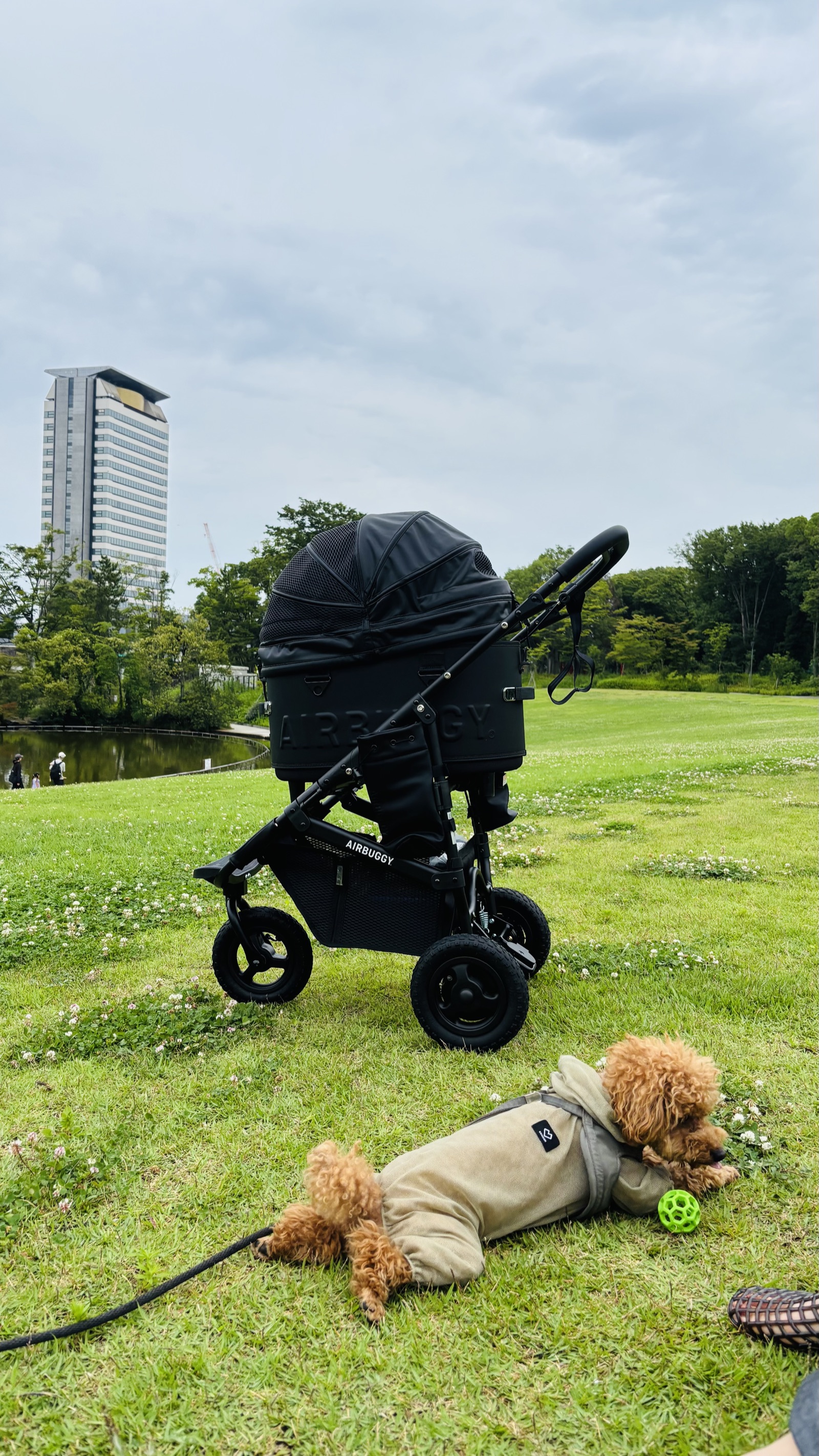 公園でボールと遊ぶくむ